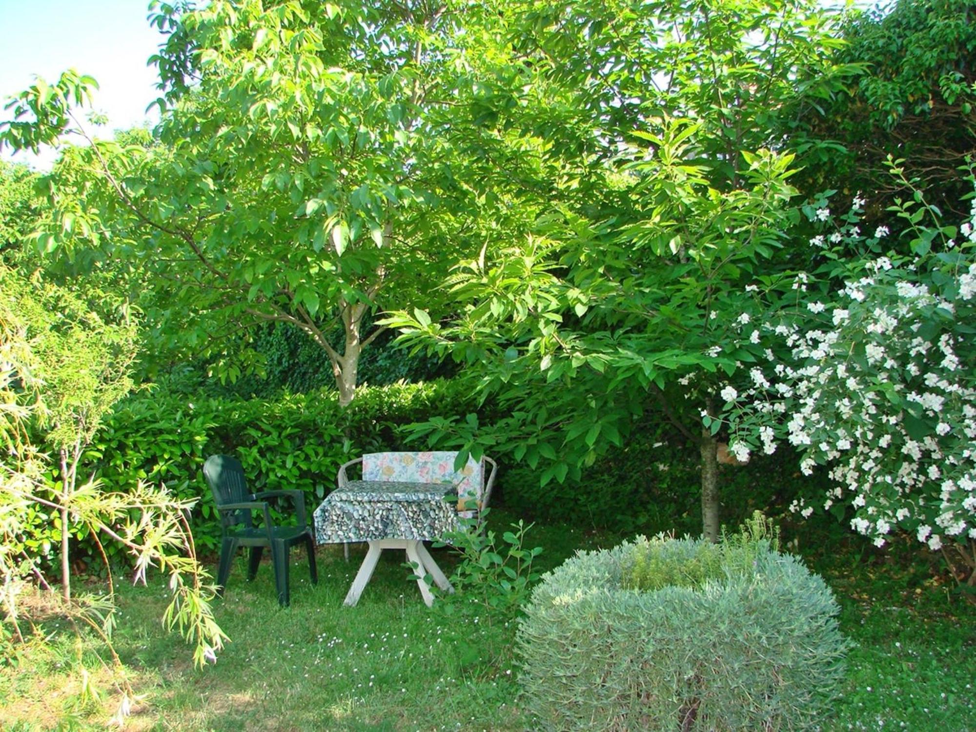 Apartment Milena Pula Rum bild